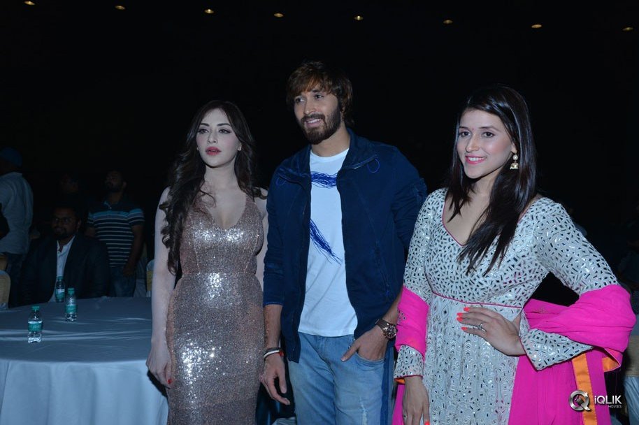 Rogue-Movie-Audio-Launch